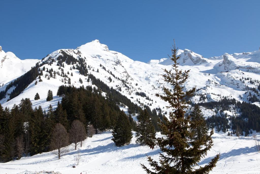 Azureva La Clusaz Les Aravis Dış mekan fotoğraf